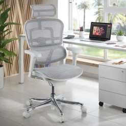 Sedia direzionale ergonomica Ergohuman Edition I, Struttura bianca