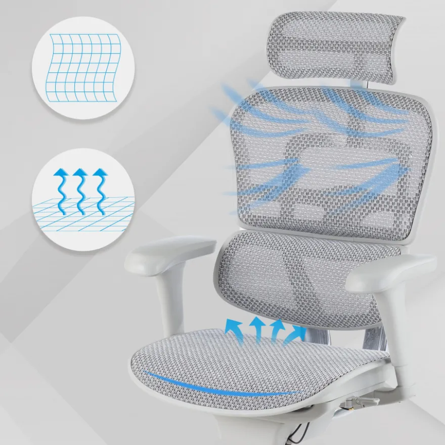 Sedia direzionale ergonomica Ergohuman Edition I, Struttura bianca