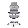 Sedia direzionale ergonomica Ergohuman Edition I, Struttura nera
