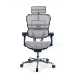 Sedia direzionale ergonomica Ergohuman Edition I, Struttura nera