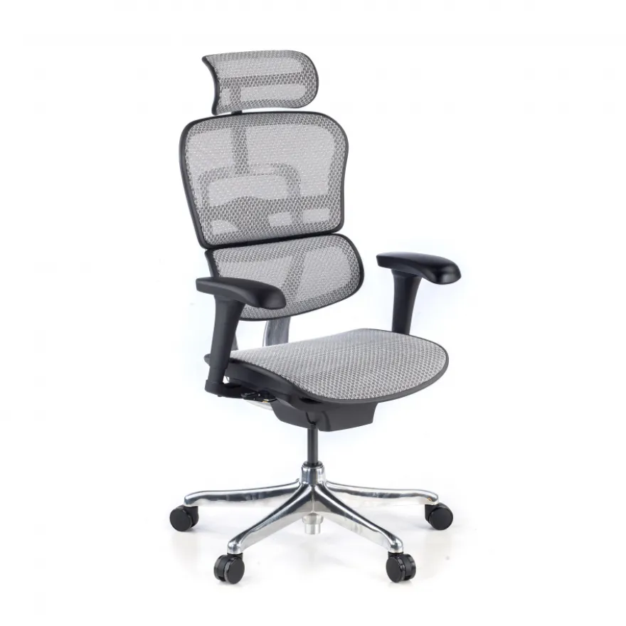 Sedia direzionale ergonomica Ergohuman Edition I, Struttura nera