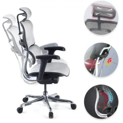 Sedia direzionale ergonomica Ergohuman Edition I, Struttura nera