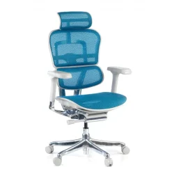 Sedia direzionale ergonomica Ergohuman Elite, Struttura bianca