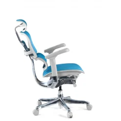 Sedia direzionale ergonomica Ergohuman Elite, Struttura bianca