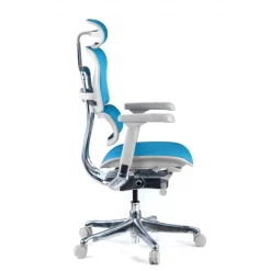 Sedia direzionale ergonomica Ergohuman Elite, Struttura bianca