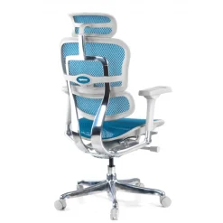 Sedia direzionale ergonomica Ergohuman Elite, Struttura bianca