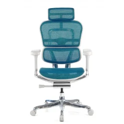 Sedia direzionale ergonomica Ergohuman Elite, Struttura bianca