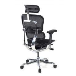 Sedia direzionale ergonomica Ergohuman Elite, Struttura nera