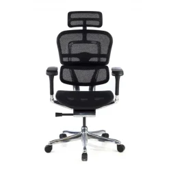 Sedia direzionale ergonomica Ergohuman Elite, Struttura nera