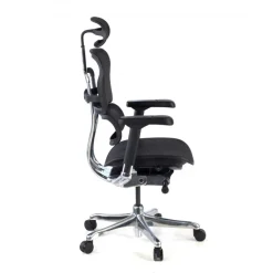 Sedia direzionale ergonomica Ergohuman Elite, Struttura nera