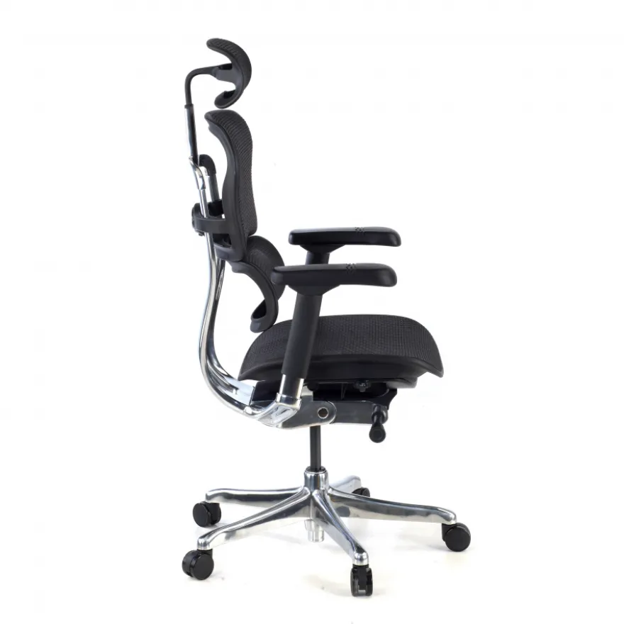 Sedia direzionale ergonomica Ergohuman Elite, Struttura nera