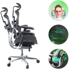 Sedia direzionale ergonomica Ergohuman Elite, Struttura nera