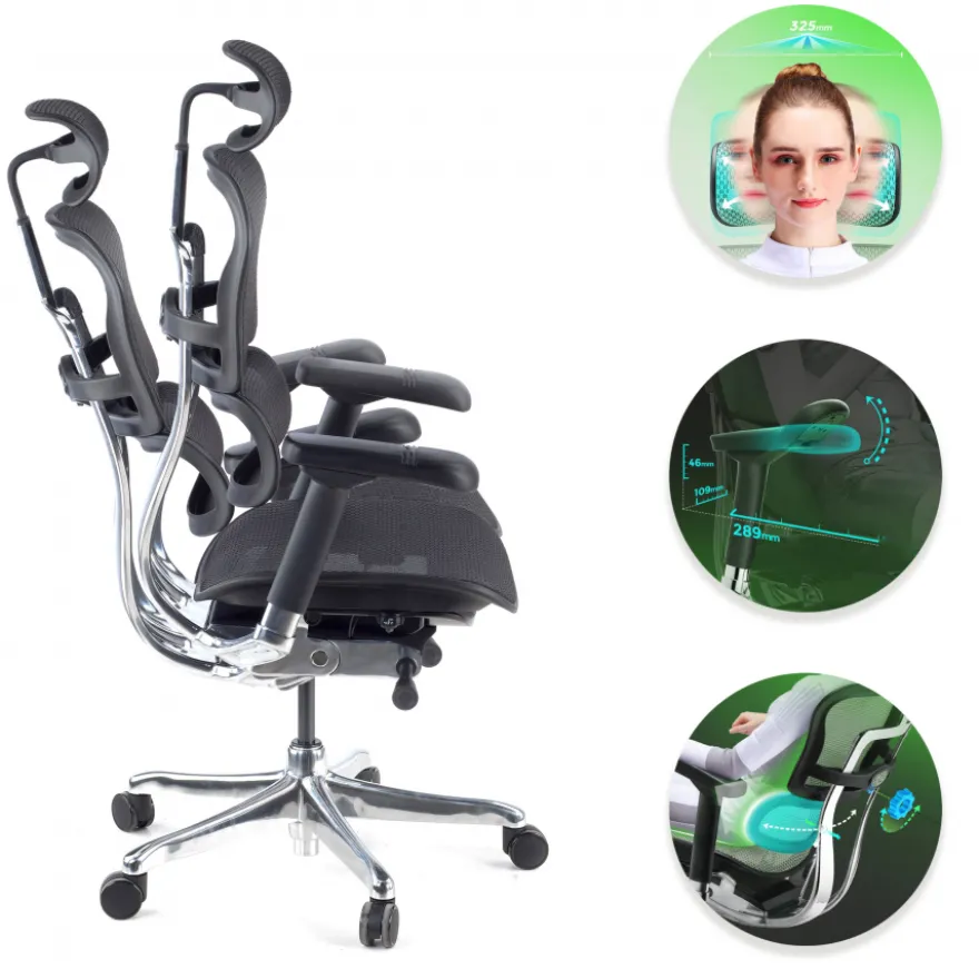 Sedia direzionale ergonomica Ergohuman Elite, Struttura nera