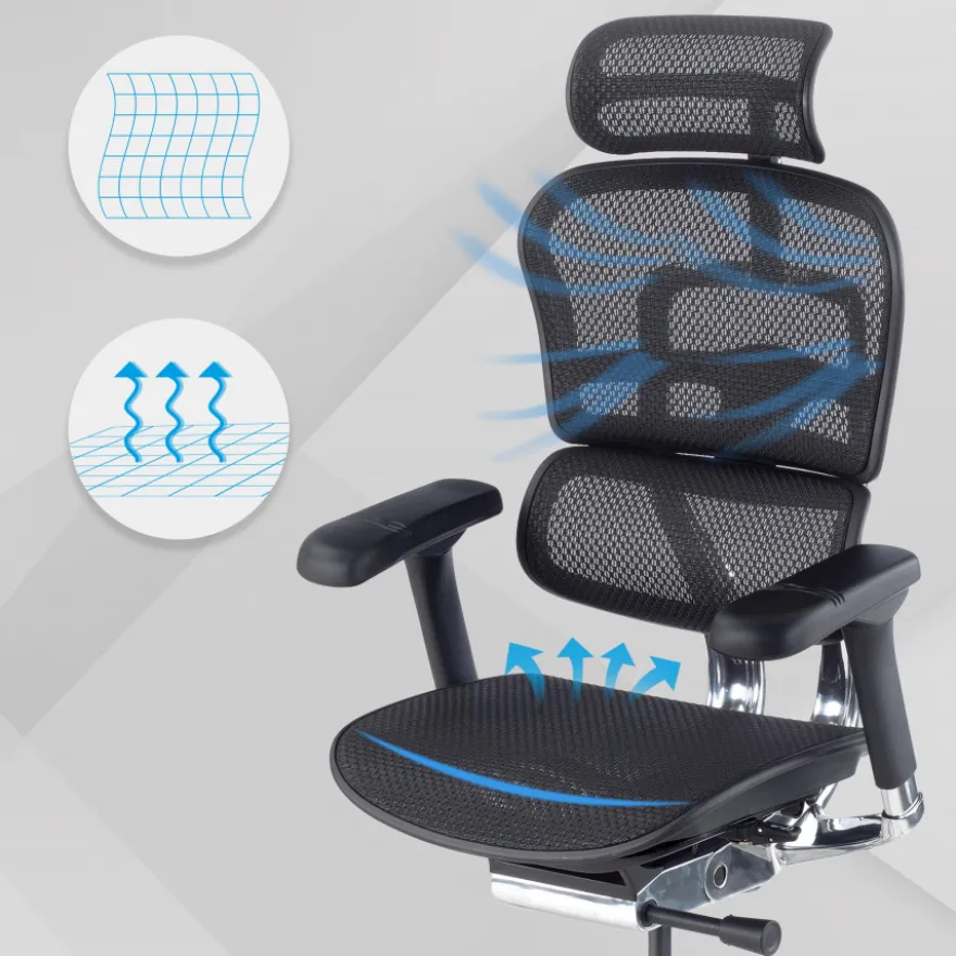 Sedia direzionale ergonomica Ergohuman Elite, Struttura nera