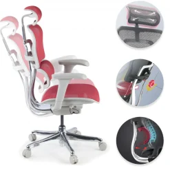 Sedia direzionale ergonomica Ergohuman Edition I, Struttura bianca