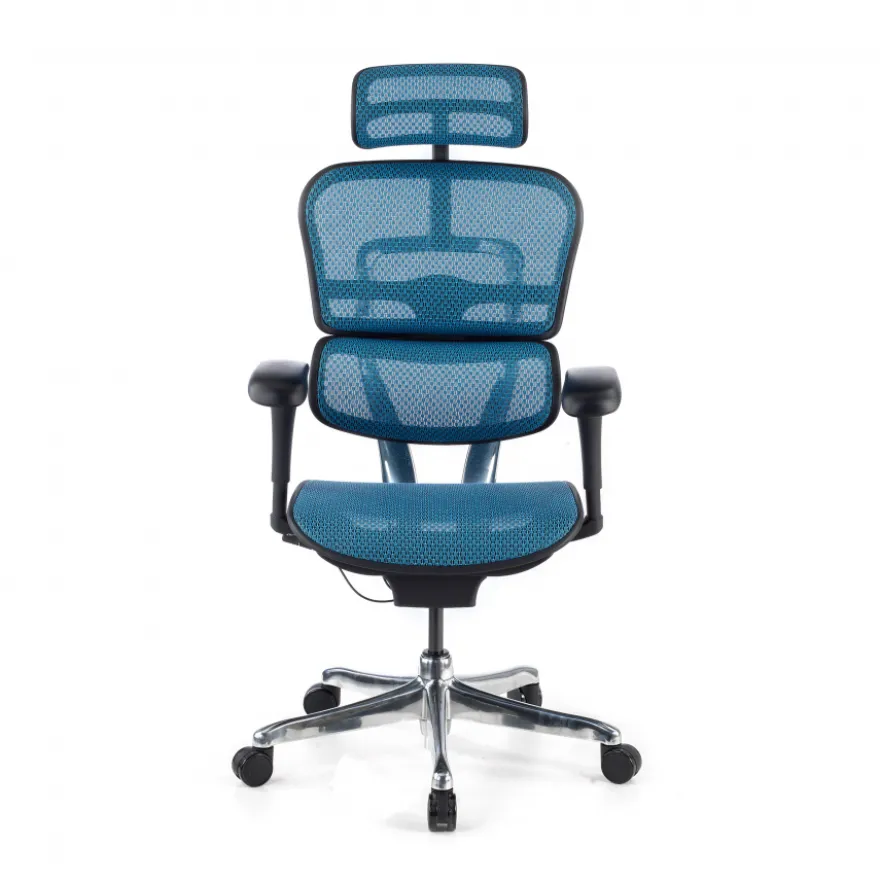 Sedia direzionale ergonomica Ergohuman Edition I, Struttura nera