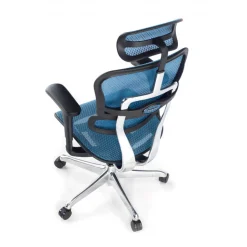 Sedia direzionale ergonomica Ergohuman Edition I, Struttura nera