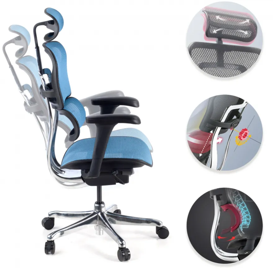 Sedia direzionale ergonomica Ergohuman Edition I, Struttura nera