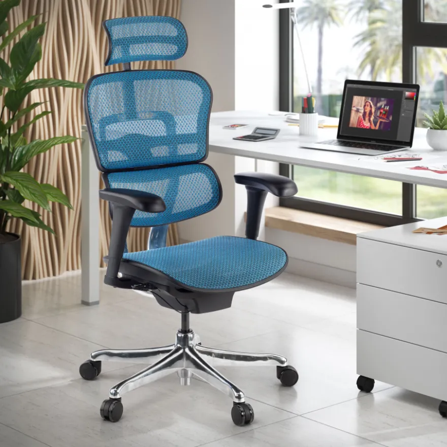 Sedia direzionale ergonomica Ergohuman Edition I, Struttura nera