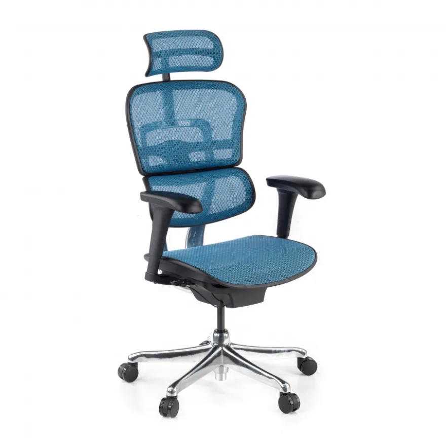 Sedia direzionale ergonomica Ergohuman Edition I, Struttura nera