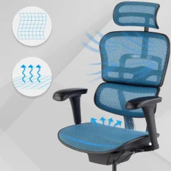 Sedia direzionale ergonomica Ergohuman Edition I, Struttura nera