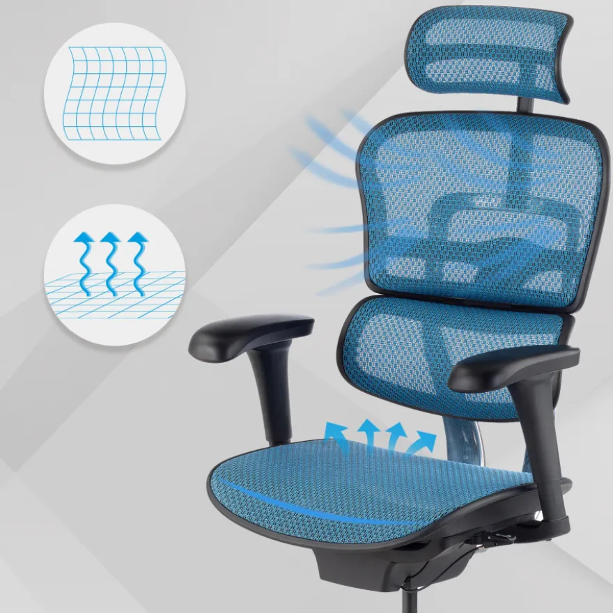 Sedia direzionale ergonomica Ergohuman Edition I, Struttura nera