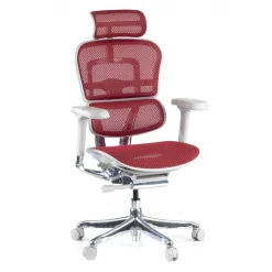 Sedia direzionale ergonomica Ergohuman Elite, Struttura bianca