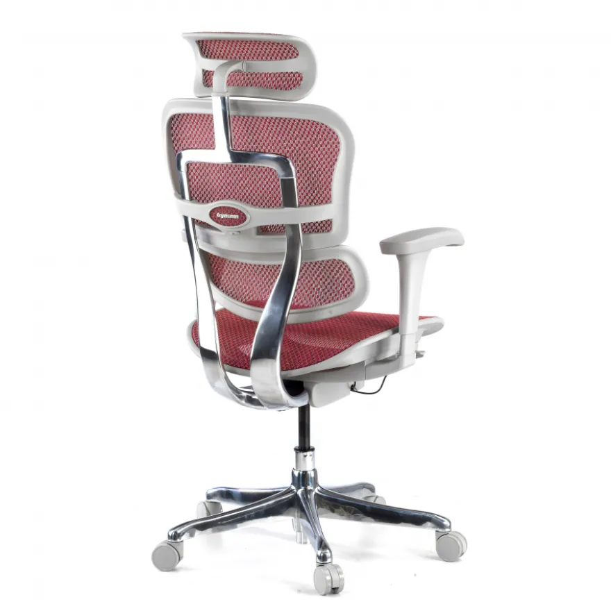 Sedia direzionale ergonomica Ergohuman Elite, Struttura bianca