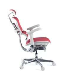 Sedia direzionale ergonomica Ergohuman Elite, Struttura bianca