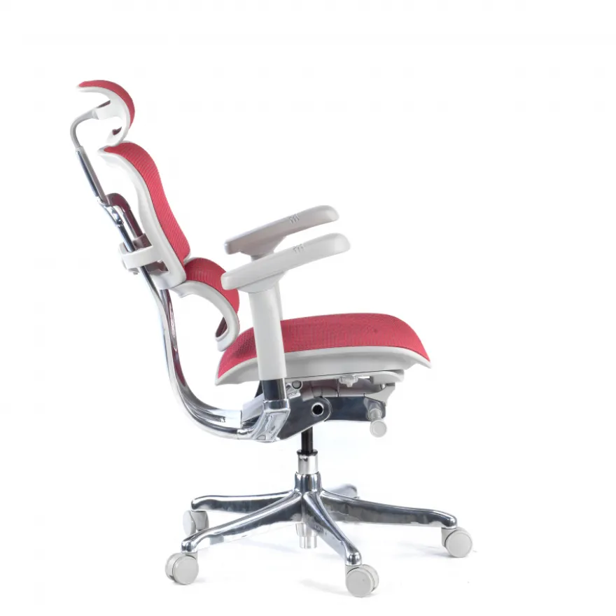Sedia direzionale ergonomica Ergohuman Elite, Struttura bianca