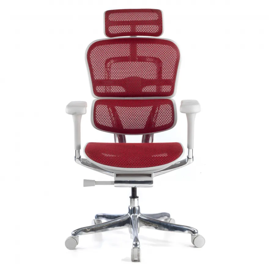 Sedia direzionale ergonomica Ergohuman Elite, Struttura bianca
