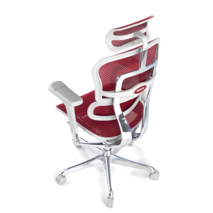 Sedia direzionale ergonomica Ergohuman Elite, Struttura bianca