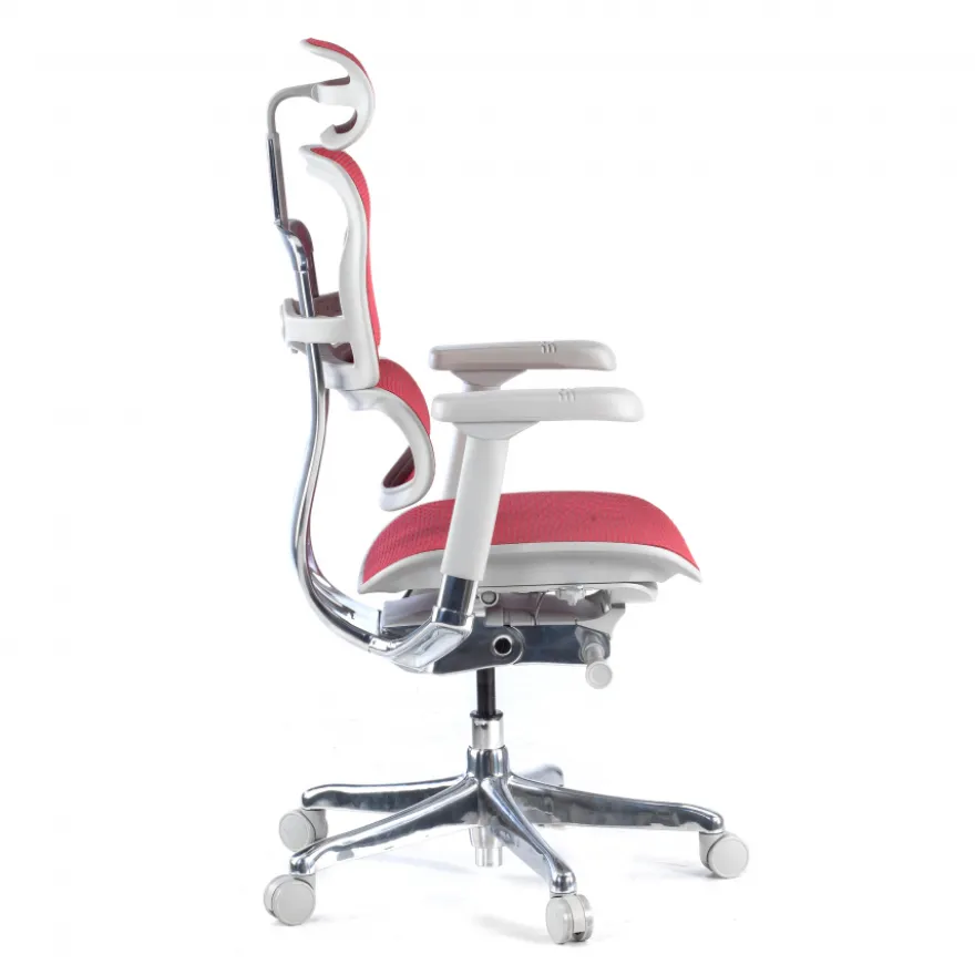 Sedia direzionale ergonomica Ergohuman Elite, Struttura bianca