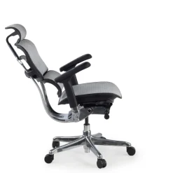 Sedia direzionale ergonomica Ergohuman Elite, Struttura nera