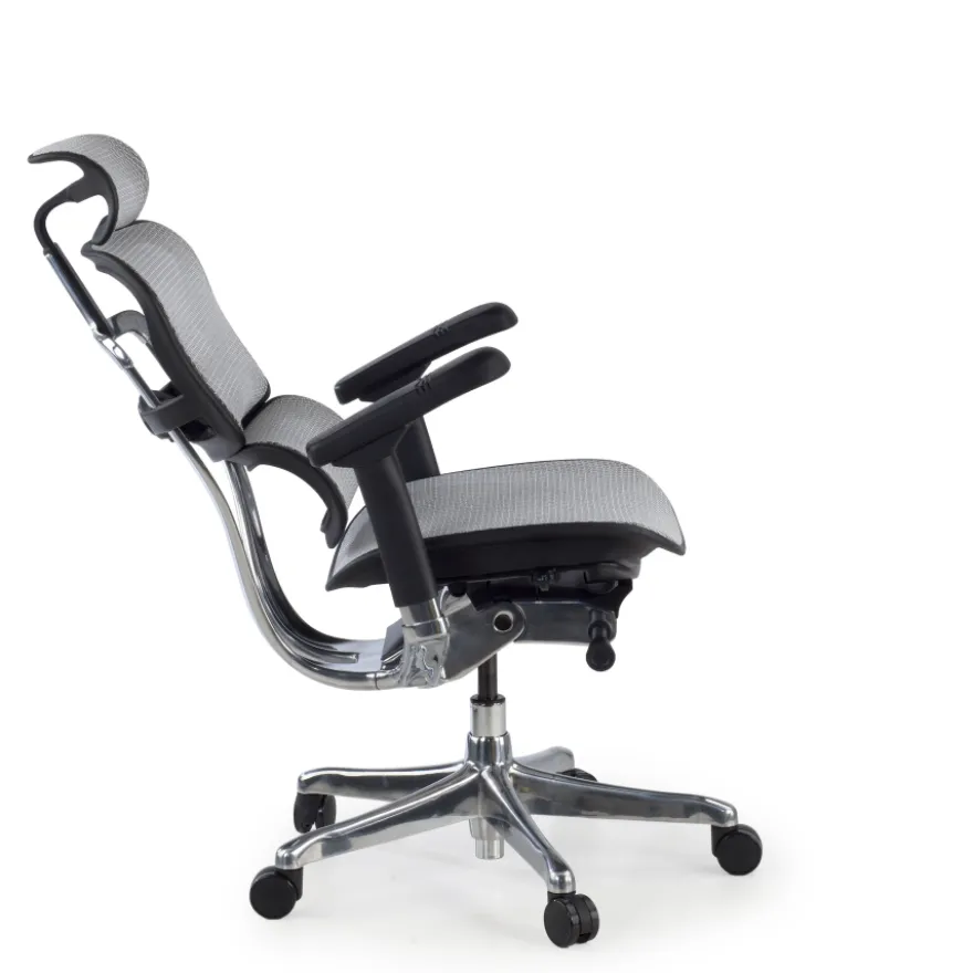 Sedia direzionale ergonomica Ergohuman Elite, Struttura nera