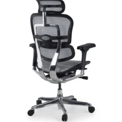 Sedia direzionale ergonomica Ergohuman Elite, Struttura nera