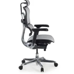 Sedia direzionale ergonomica Ergohuman Elite, Struttura nera