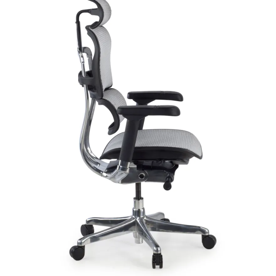 Sedia direzionale ergonomica Ergohuman Elite, Struttura nera