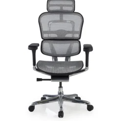 Sedia direzionale ergonomica Ergohuman Elite, Struttura nera