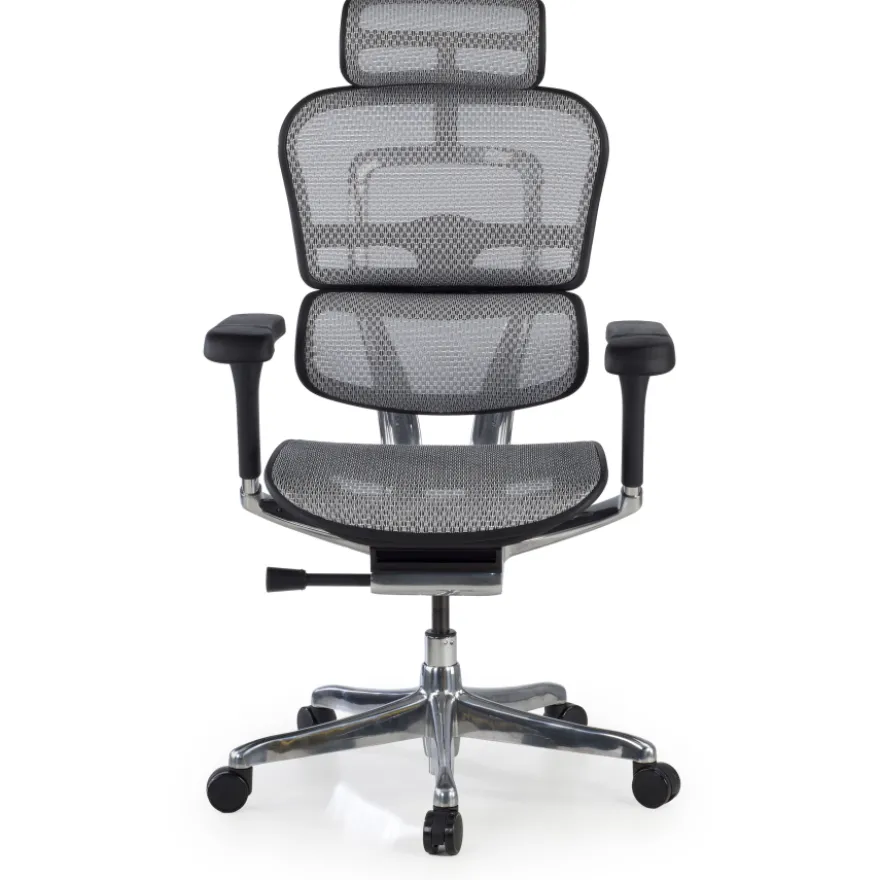 Sedia direzionale ergonomica Ergohuman Elite, Struttura nera