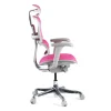 Sedia direzionale ergonomica Ergohuman Edition I, Struttura bianca