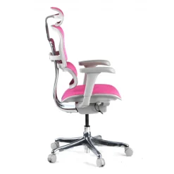 Sedia direzionale ergonomica Ergohuman Edition I, Struttura bianca