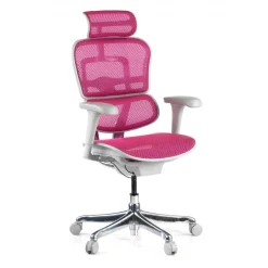 Sedia direzionale ergonomica Ergohuman Edition I, Struttura bianca