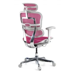 Sedia direzionale ergonomica Ergohuman Edition I, Struttura bianca