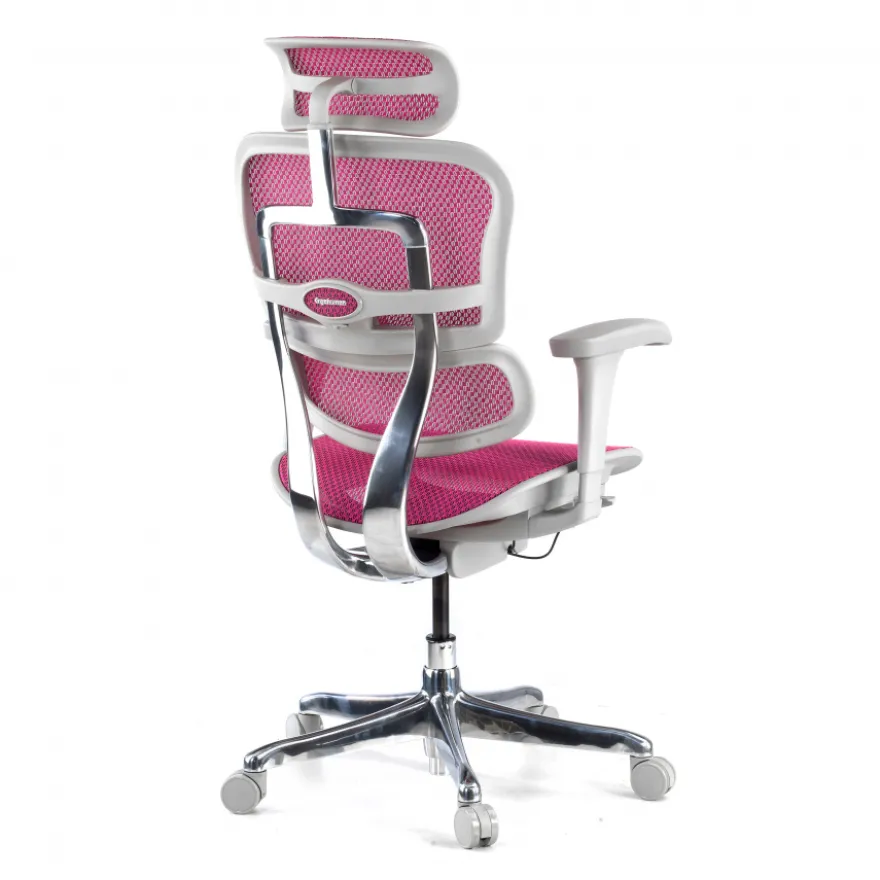 Sedia direzionale ergonomica Ergohuman Edition I, Struttura bianca