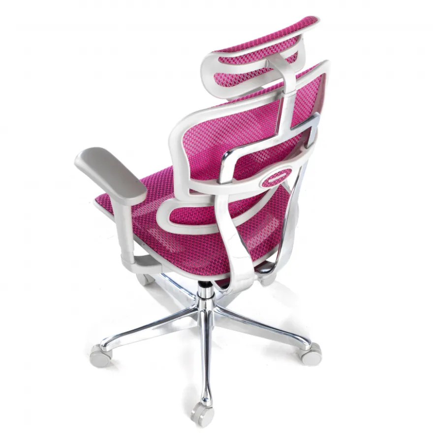 Sedia direzionale ergonomica Ergohuman Edition I, Struttura bianca