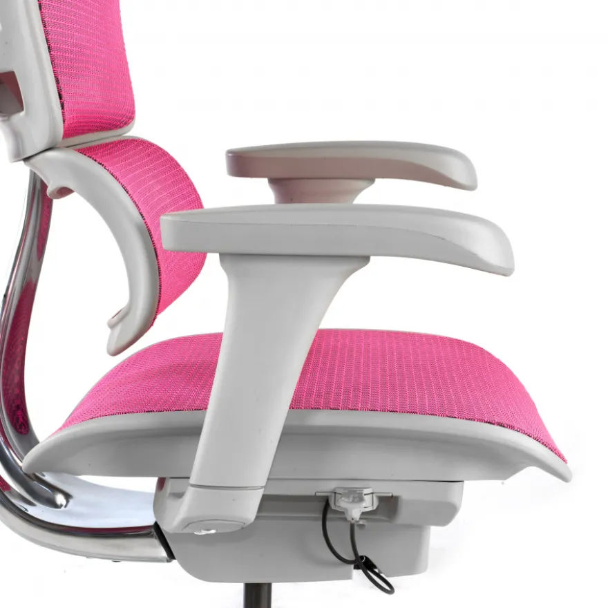 Sedia direzionale ergonomica Ergohuman Edition I, Struttura bianca
