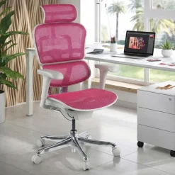 Sedia direzionale ergonomica Ergohuman Edition I, Struttura bianca