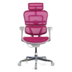 Sedia direzionale ergonomica Ergohuman Edition I, Struttura bianca