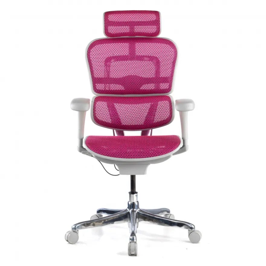 Sedia direzionale ergonomica Ergohuman Edition I, Struttura bianca